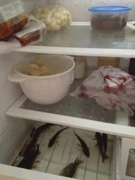 Funny - 15545085778517256315351263521682n.jpg